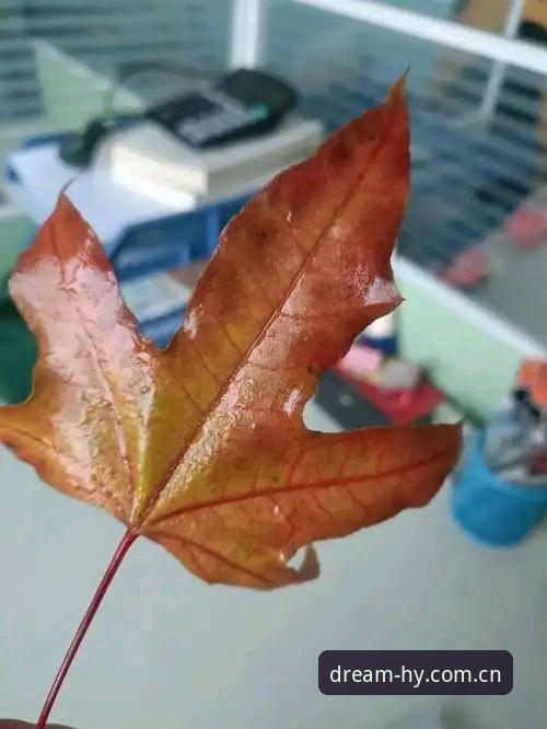 卡纳莱斯落叶归根操作指南：16年轮回背后，老将回归的正确打开方式